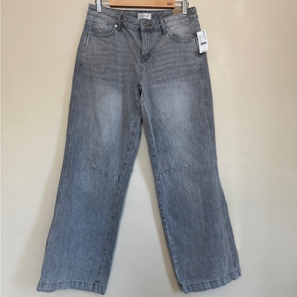 PacSun Casey Low Rise Jeans Wide Leg Baggy Oversized Size 27 - Picture 1 of 13